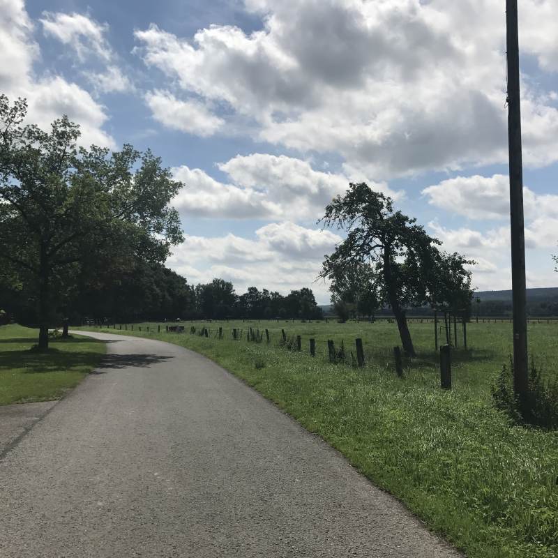 Besser geht es eigentlich kaum