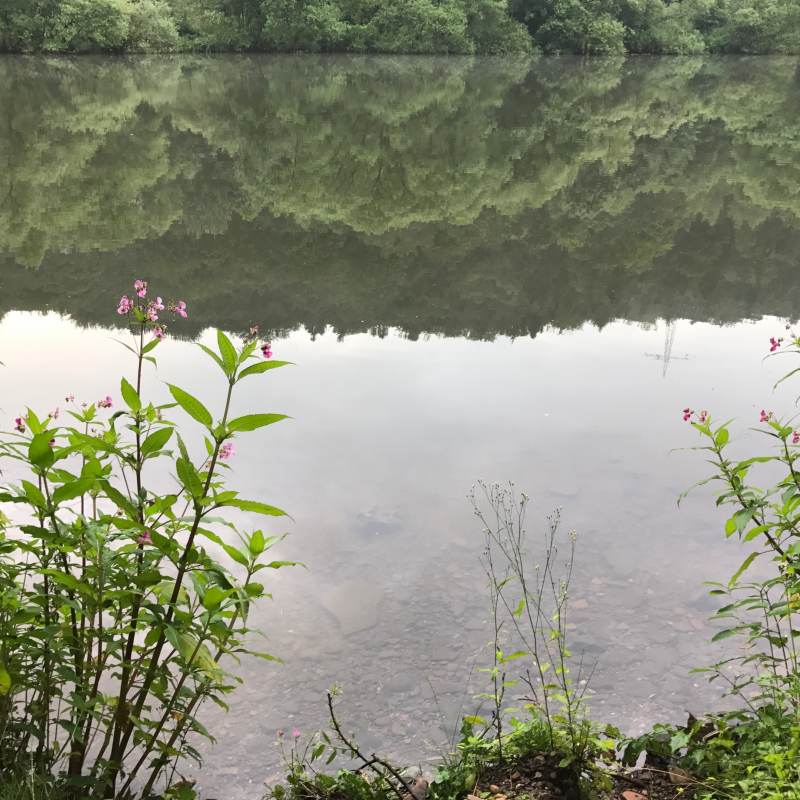 Still liegt sie am Morgen da, die Fulda