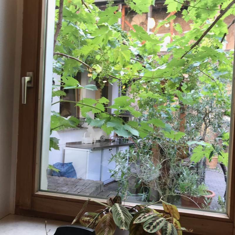 Blick aus dem Frühstücksraum