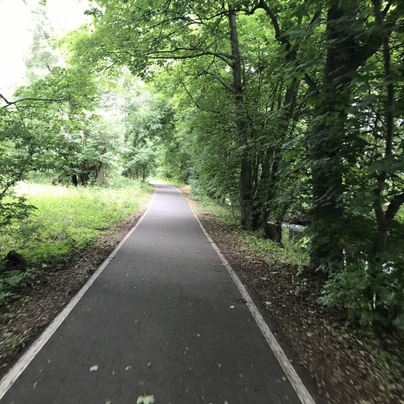 Bestens ausgebauter Ilmtal-Radweg