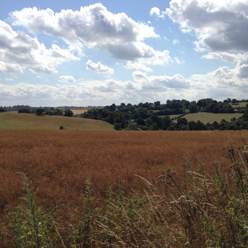 The rolling hills of Yorkshire