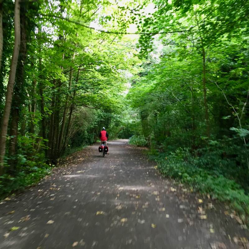 Grüne Waldwege charakterisieren die heutige Etappe